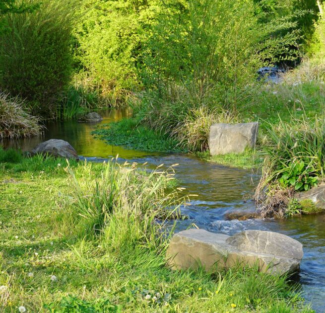 smooth-flowing-creek-in-bergisch-gladbach-germany-2023-11-27-05-13-33-utc